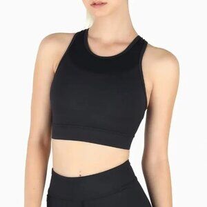 BM Sheer Spliced Duel Crop 2 Active Bra